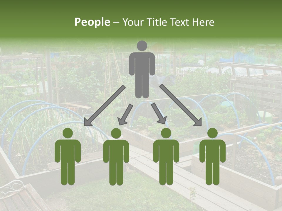 A Garden Filled With Lots Of Green Plants PowerPoint Template
