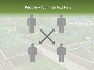 A Garden Filled With Lots Of Green Plants PowerPoint Template