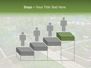 A Garden Filled With Lots Of Green Plants PowerPoint Template