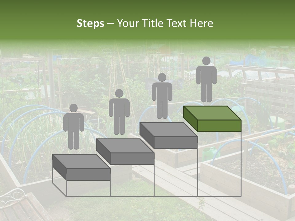A Garden Filled With Lots Of Green Plants PowerPoint Template
