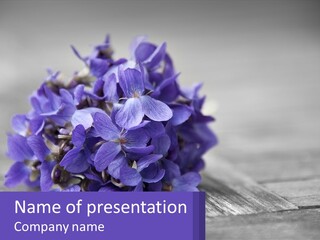 A Bunch Of Purple Flowers Sitting On Top Of A Wooden Table PowerPoint Template