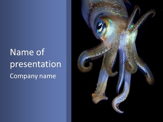 An Octopus With Blue Eyes Is Shown In This Powerpoint Presentation PowerPoint Template