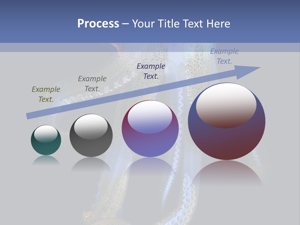 An Octopus With Blue Eyes Is Shown In This Powerpoint Presentation PowerPoint Template