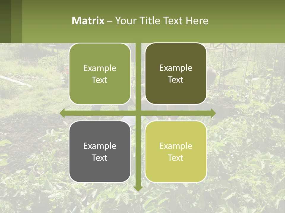 A Man And Woman Tending To A Child In A Garden PowerPoint Template