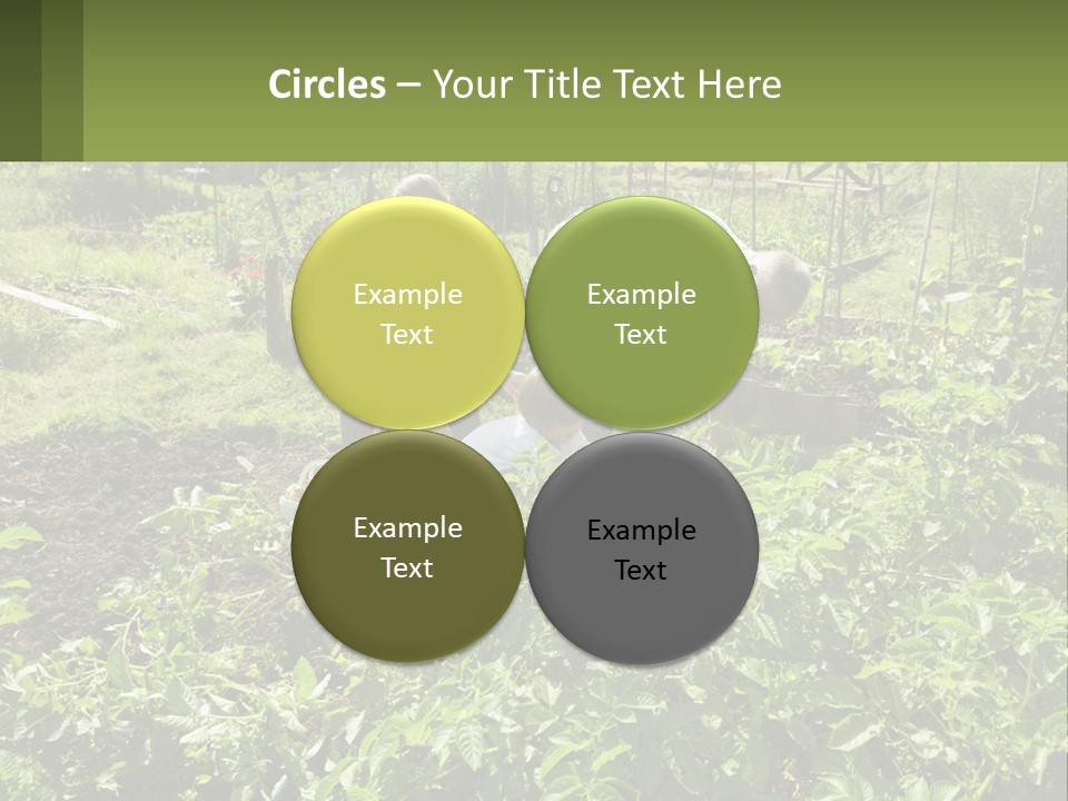 A Man And Woman Tending To A Child In A Garden PowerPoint Template