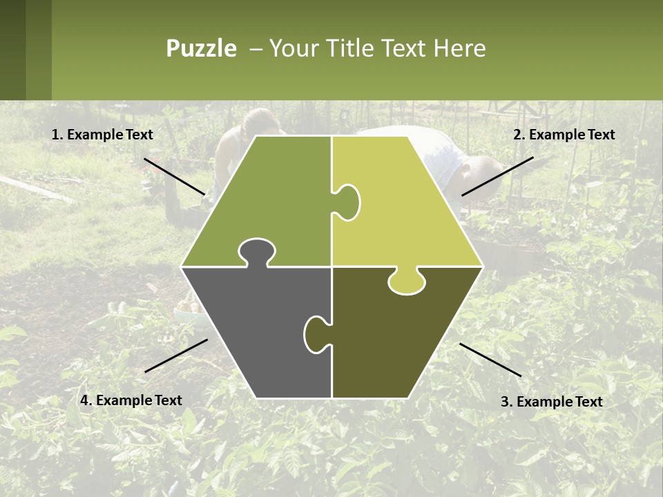 A Man And Woman Tending To A Child In A Garden PowerPoint Template