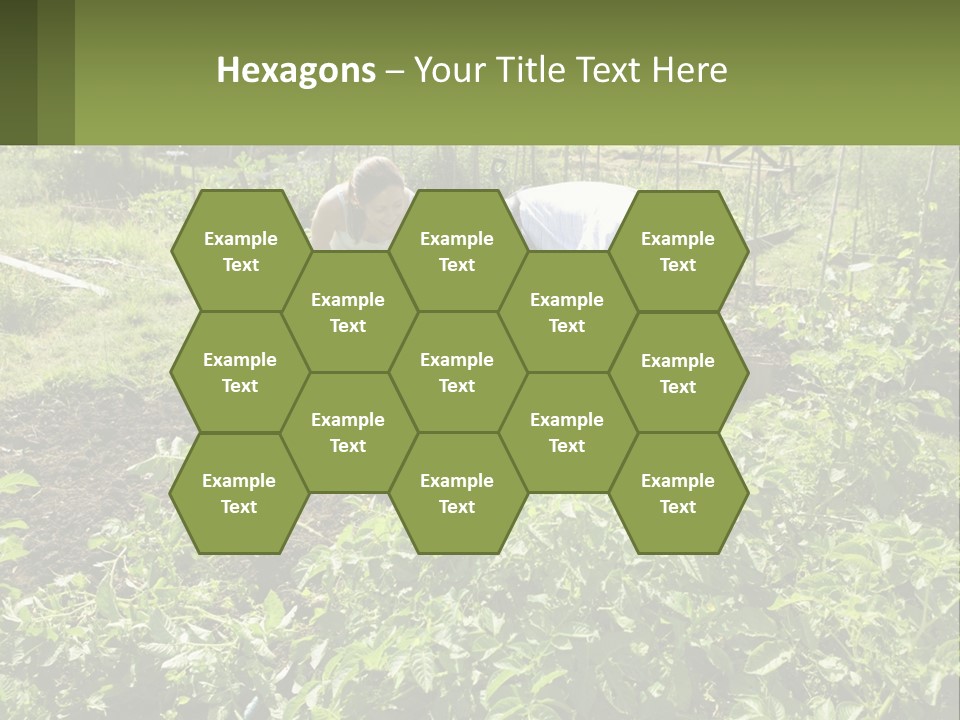 A Man And Woman Tending To A Child In A Garden PowerPoint Template