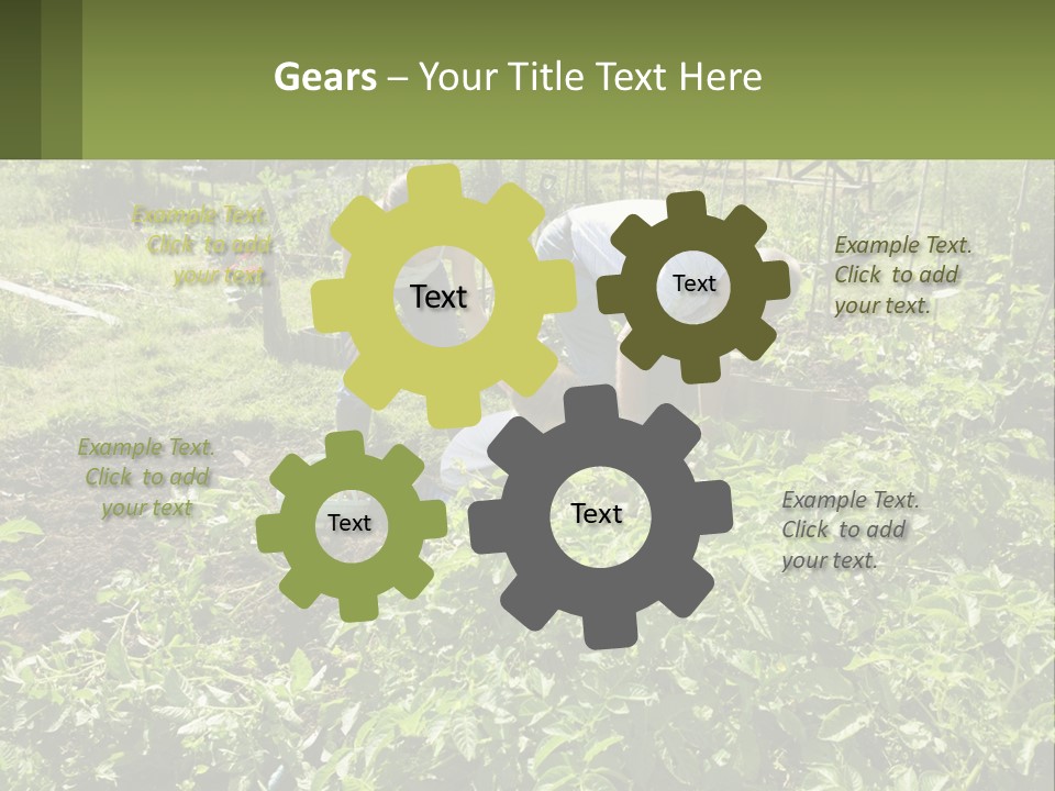 A Man And Woman Tending To A Child In A Garden PowerPoint Template