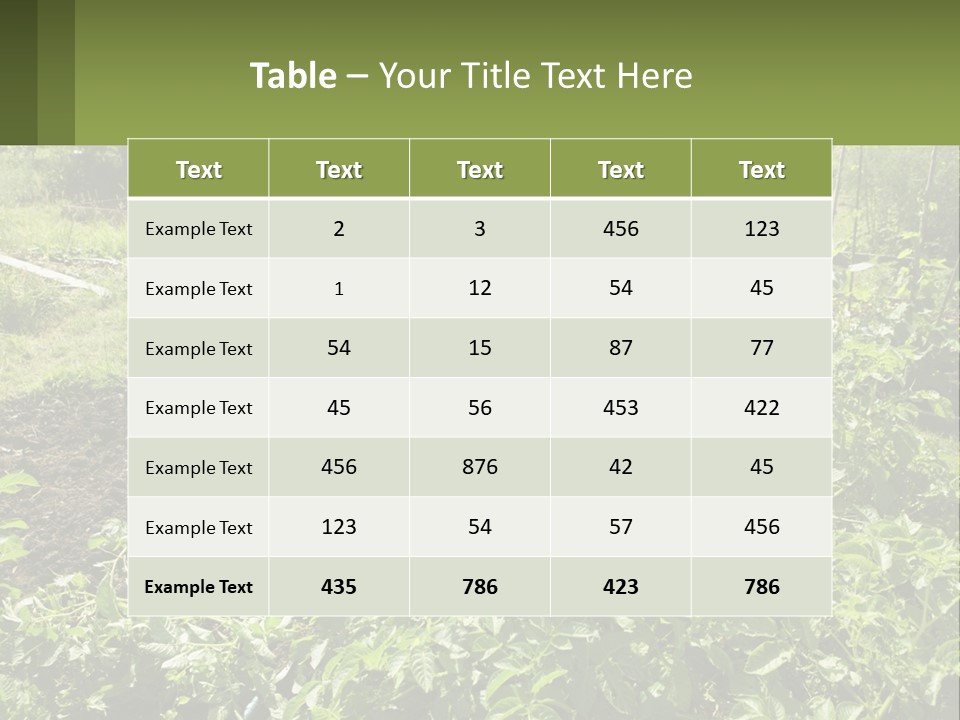 A Man And Woman Tending To A Child In A Garden PowerPoint Template