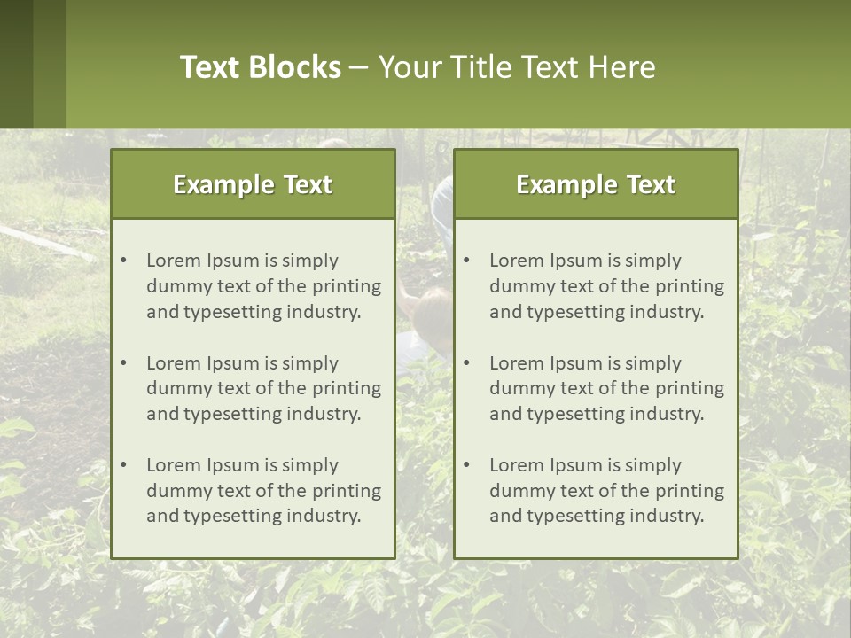 A Man And Woman Tending To A Child In A Garden PowerPoint Template