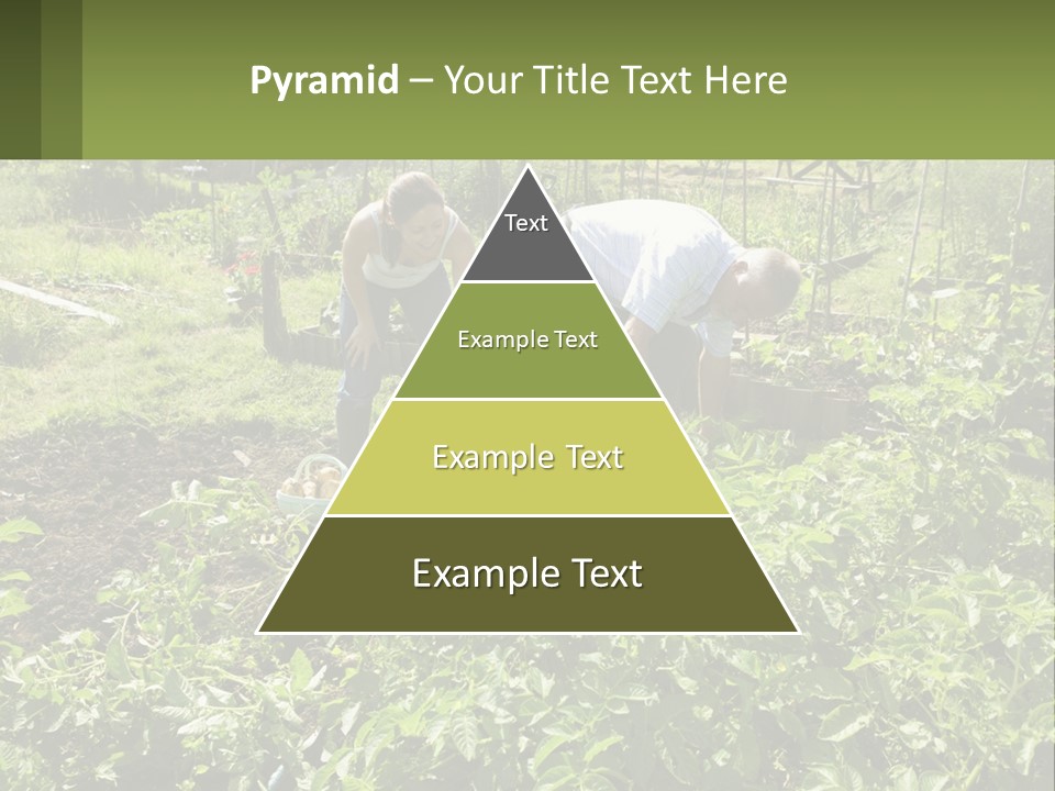 A Man And Woman Tending To A Child In A Garden PowerPoint Template