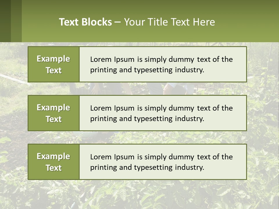 A Man And Woman Tending To A Child In A Garden PowerPoint Template