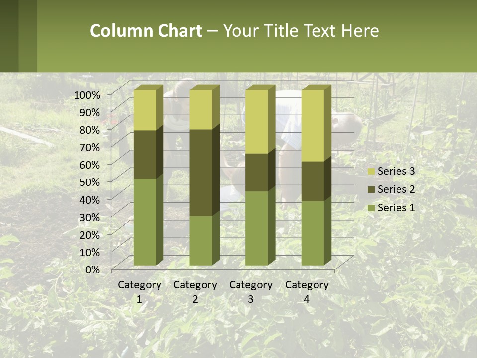A Man And Woman Tending To A Child In A Garden PowerPoint Template
