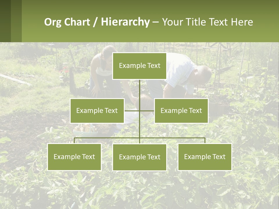 A Man And Woman Tending To A Child In A Garden PowerPoint Template