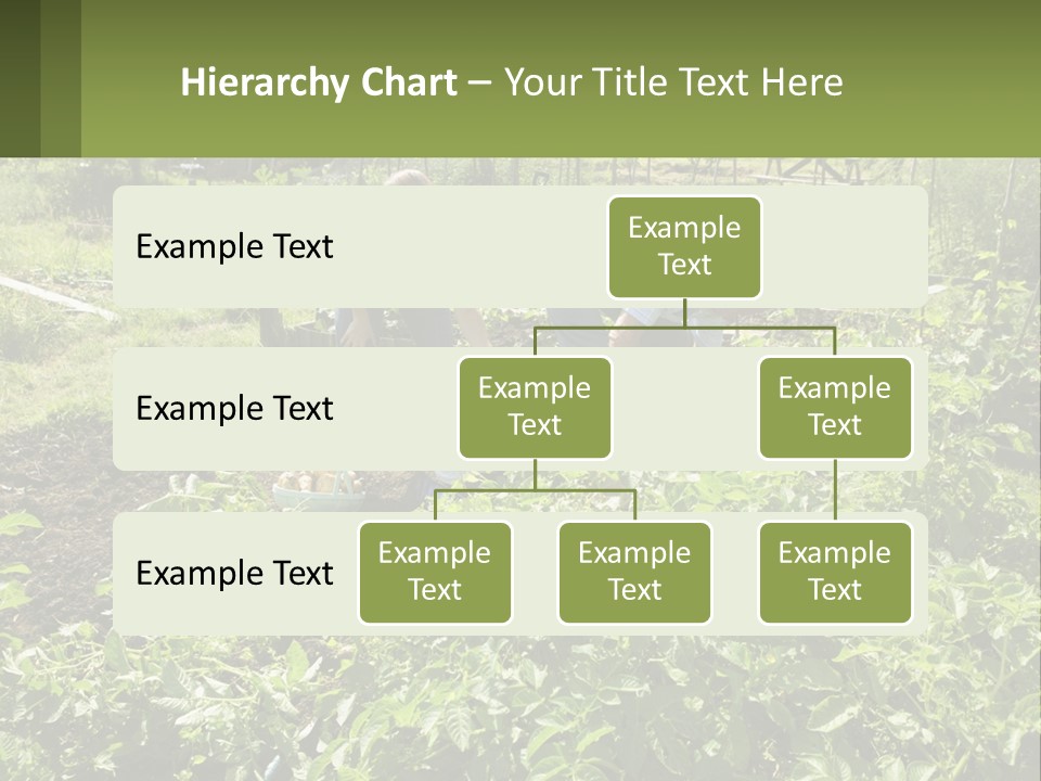 A Man And Woman Tending To A Child In A Garden PowerPoint Template