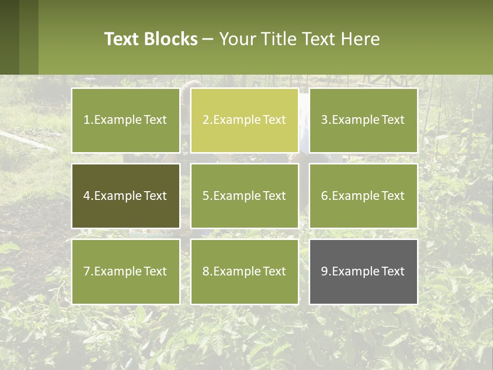 A Man And Woman Tending To A Child In A Garden PowerPoint Template