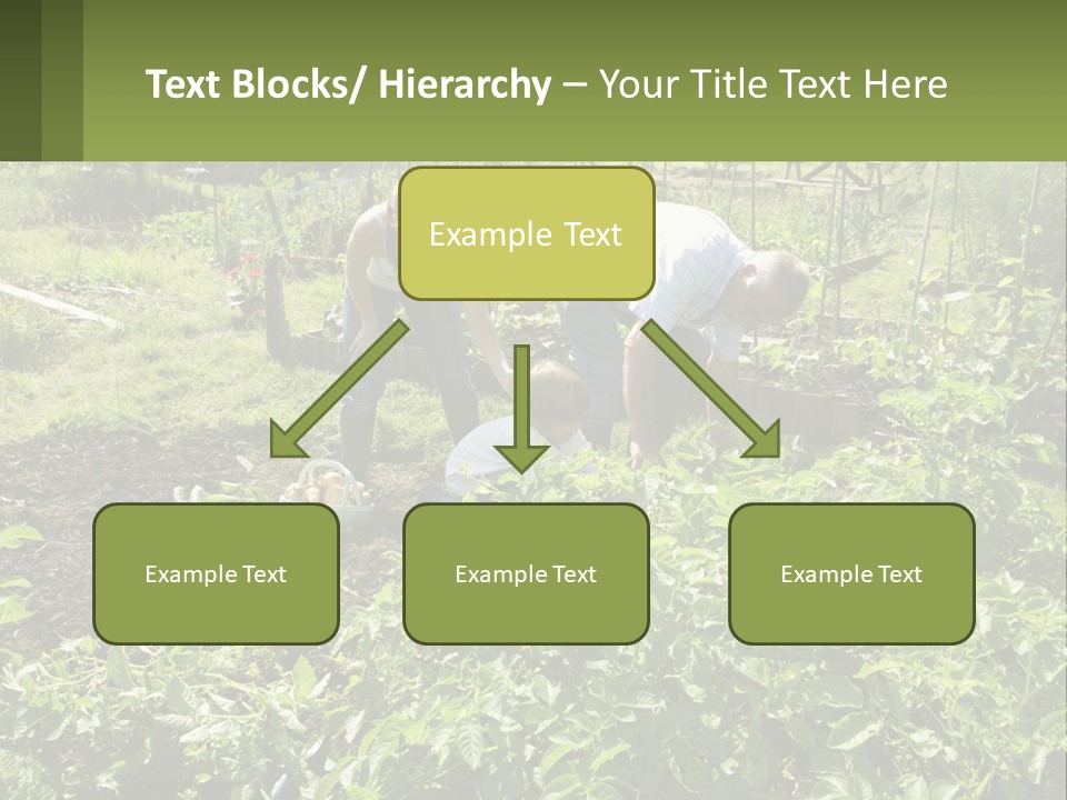 A Man And Woman Tending To A Child In A Garden PowerPoint Template