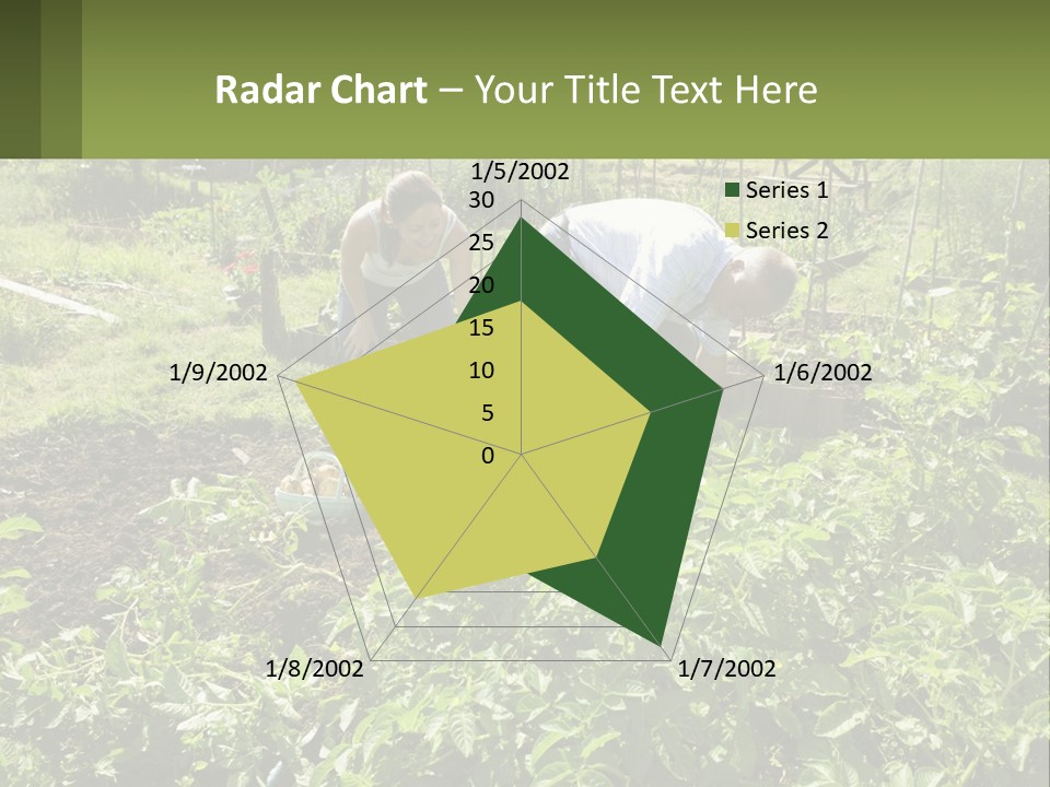 A Man And Woman Tending To A Child In A Garden PowerPoint Template