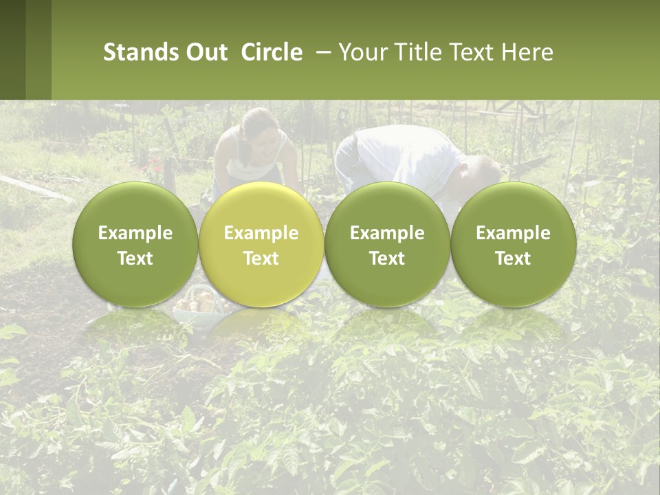 A Man And Woman Tending To A Child In A Garden PowerPoint Template