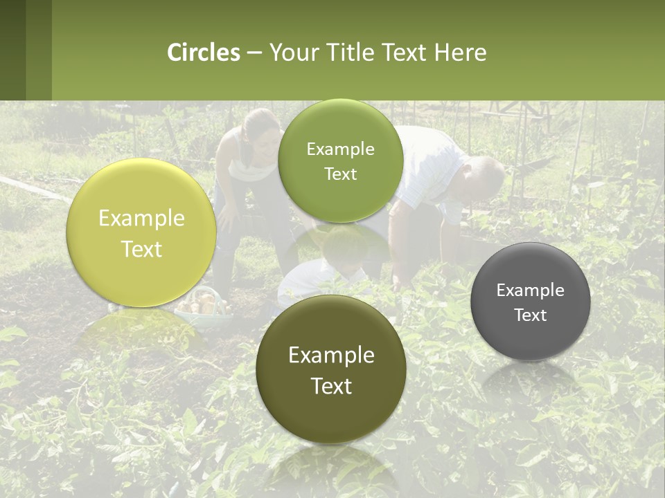 A Man And Woman Tending To A Child In A Garden PowerPoint Template