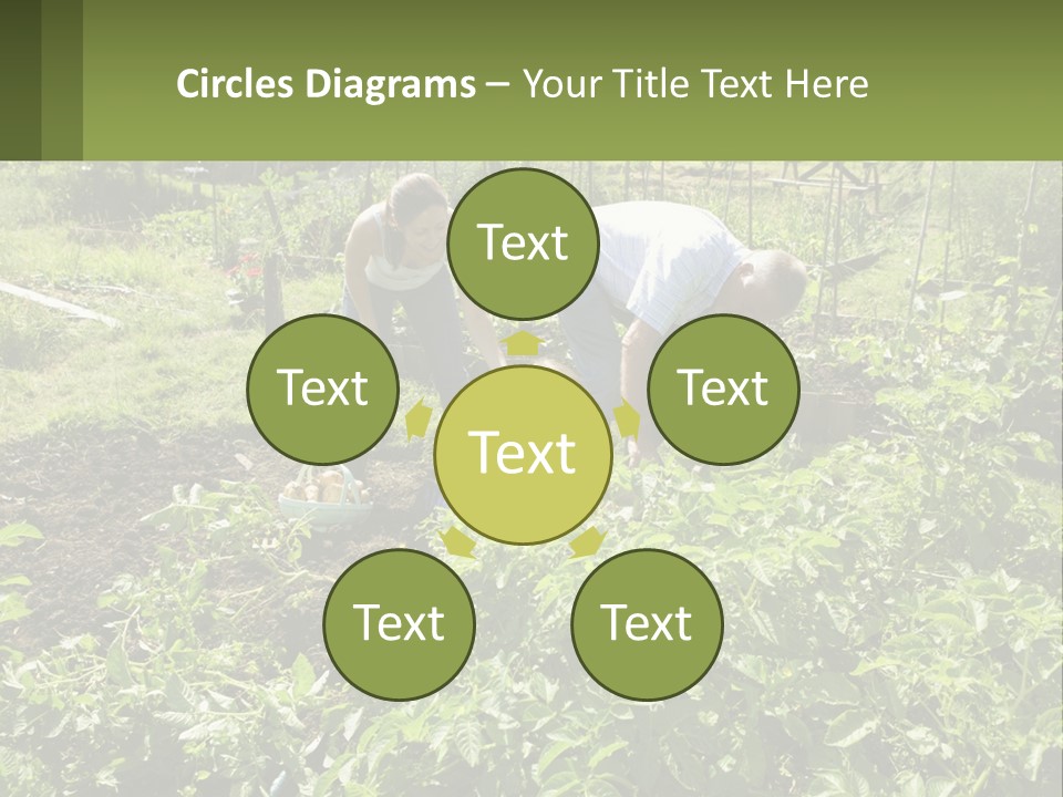 A Man And Woman Tending To A Child In A Garden PowerPoint Template