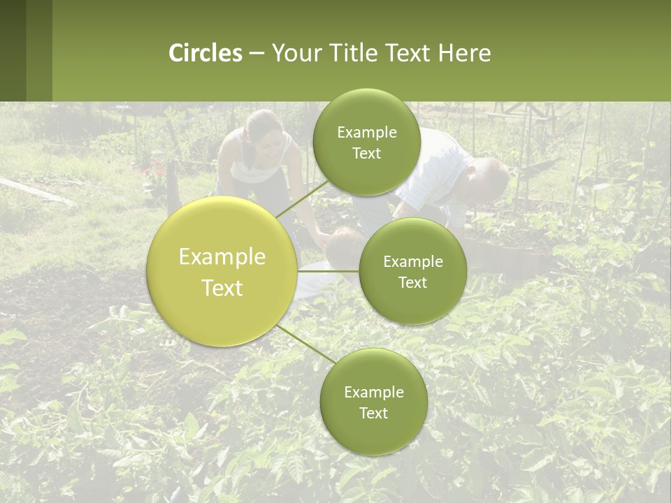 A Man And Woman Tending To A Child In A Garden PowerPoint Template