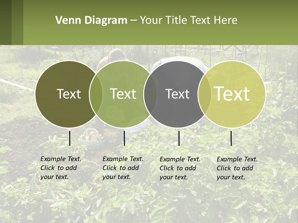 A Man And Woman Tending To A Child In A Garden PowerPoint Template