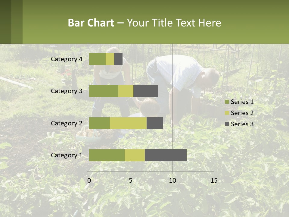 A Man And Woman Tending To A Child In A Garden PowerPoint Template