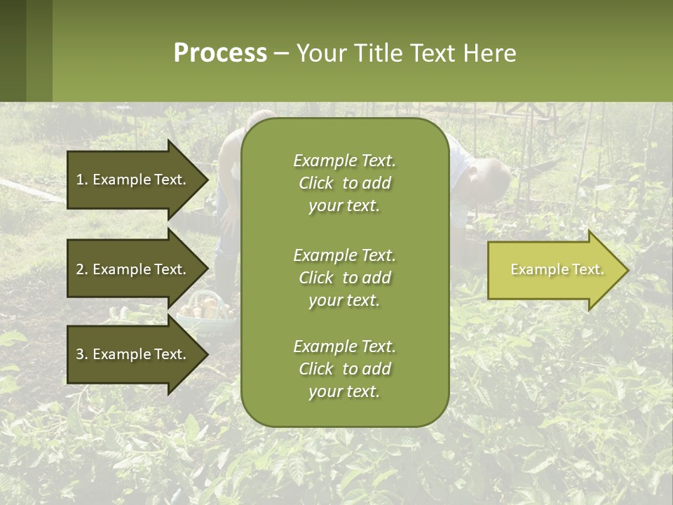 A Man And Woman Tending To A Child In A Garden PowerPoint Template