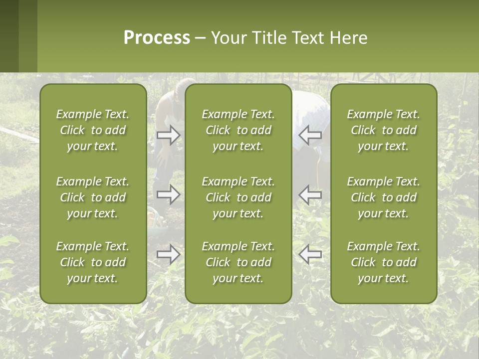 A Man And Woman Tending To A Child In A Garden PowerPoint Template