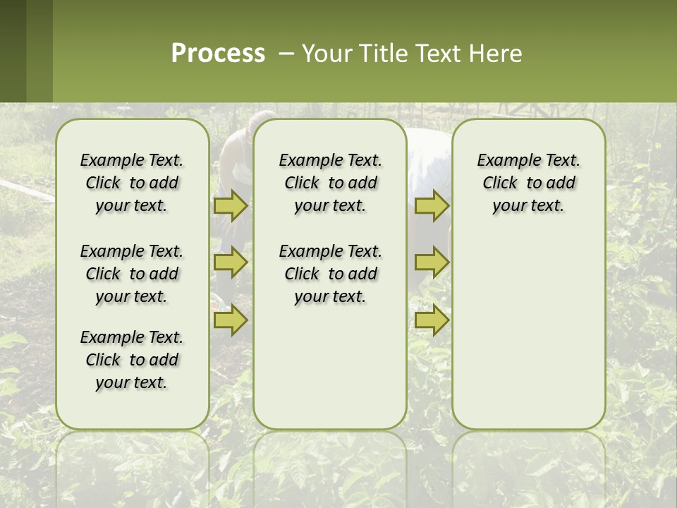 A Man And Woman Tending To A Child In A Garden PowerPoint Template