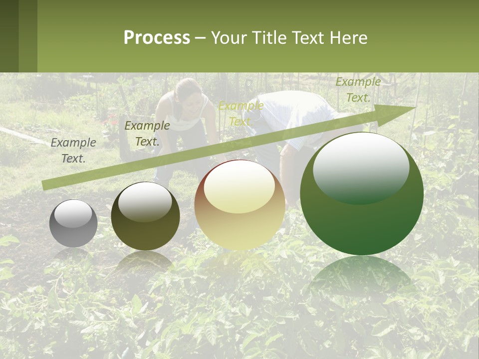 A Man And Woman Tending To A Child In A Garden PowerPoint Template