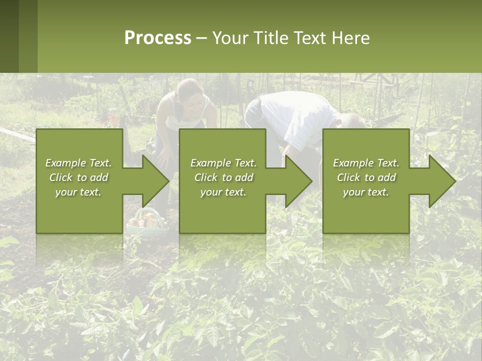A Man And Woman Tending To A Child In A Garden PowerPoint Template