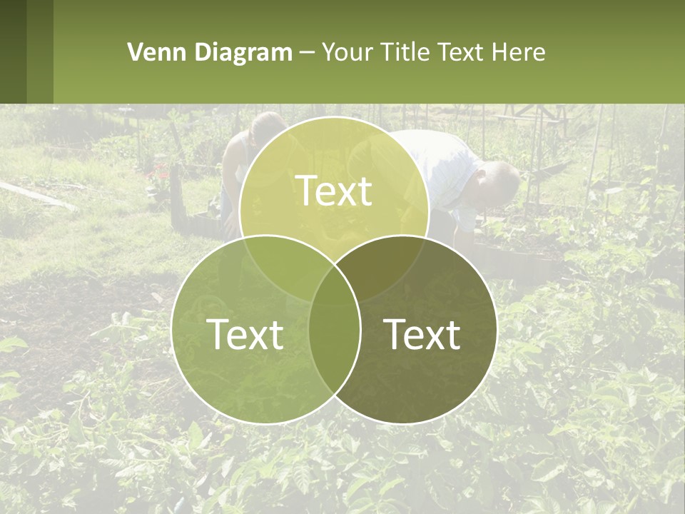 A Man And Woman Tending To A Child In A Garden PowerPoint Template