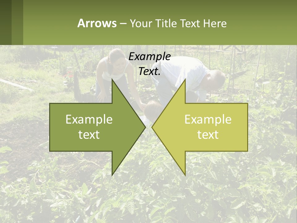 A Man And Woman Tending To A Child In A Garden PowerPoint Template