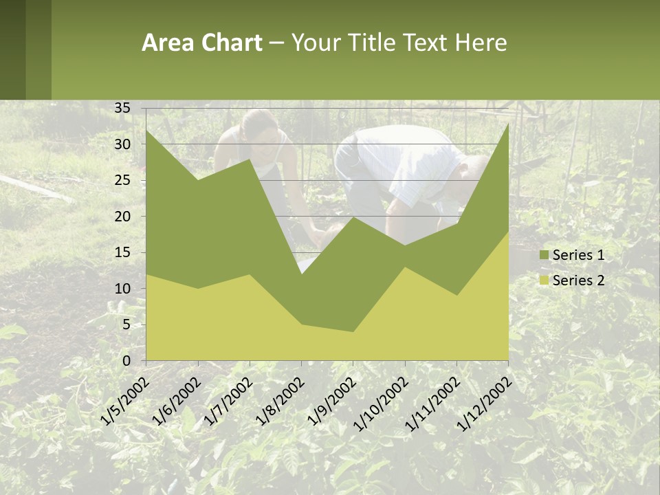 A Man And Woman Tending To A Child In A Garden PowerPoint Template