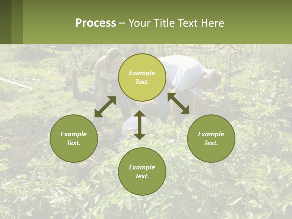 A Man And Woman Tending To A Child In A Garden PowerPoint Template