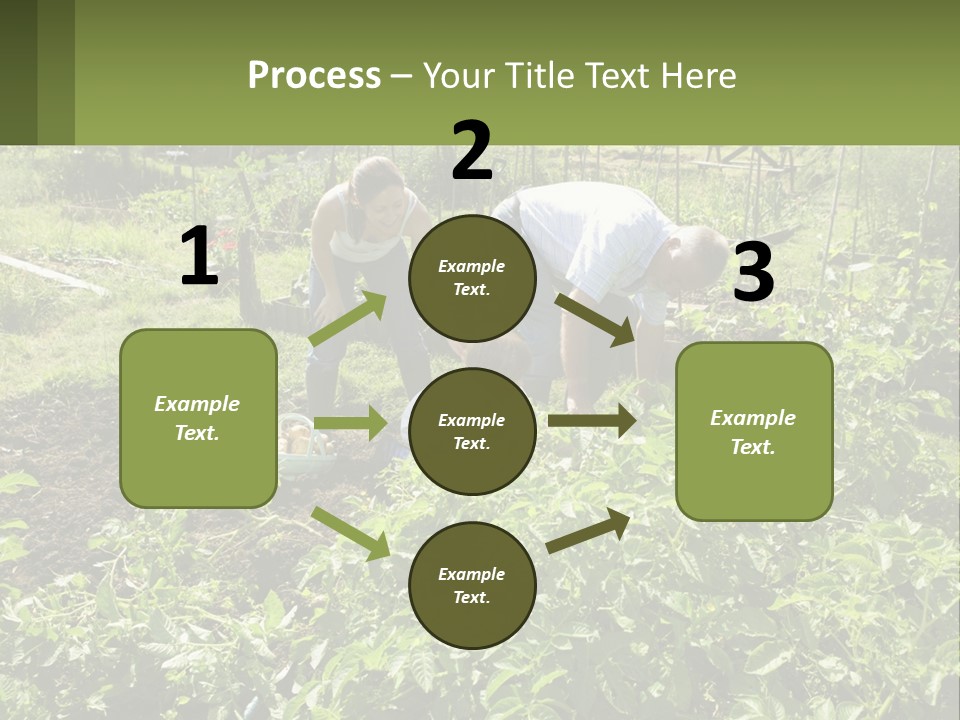 A Man And Woman Tending To A Child In A Garden PowerPoint Template