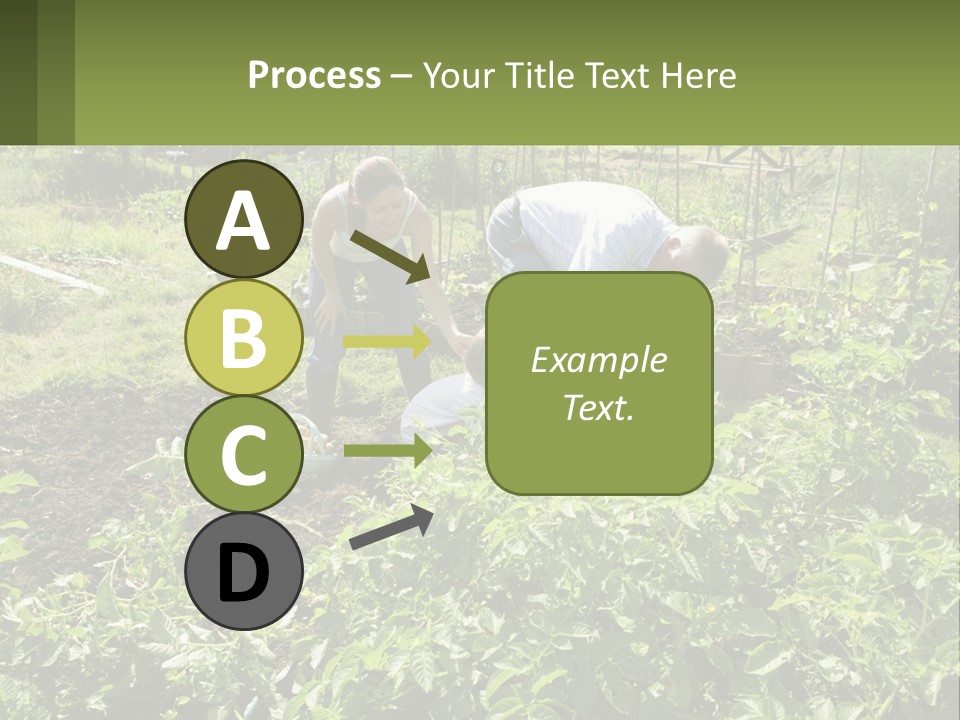 A Man And Woman Tending To A Child In A Garden PowerPoint Template