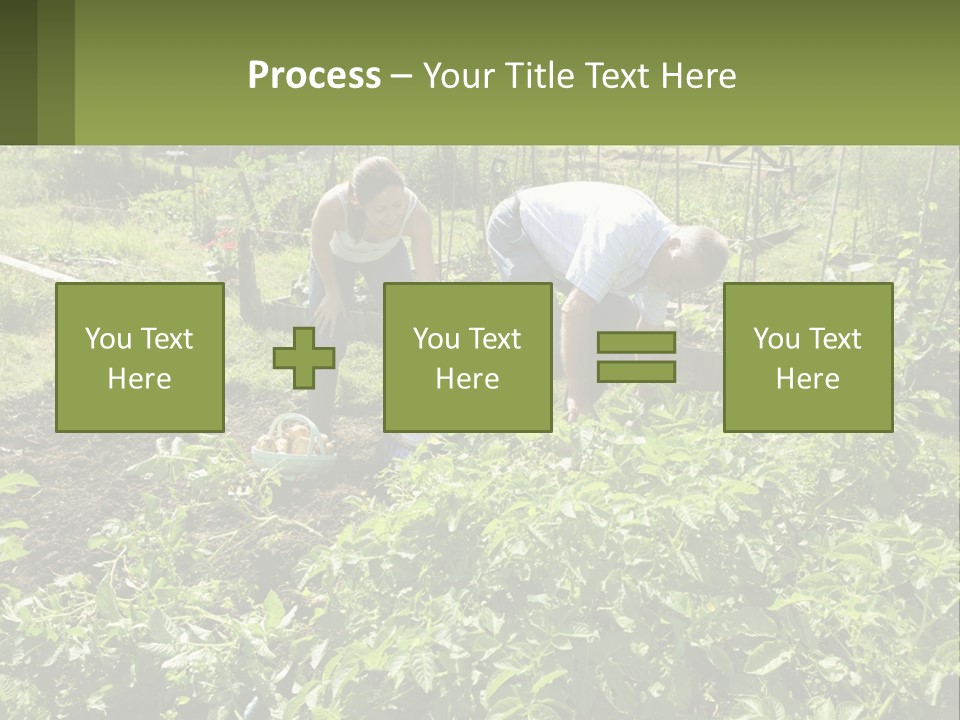 A Man And Woman Tending To A Child In A Garden PowerPoint Template