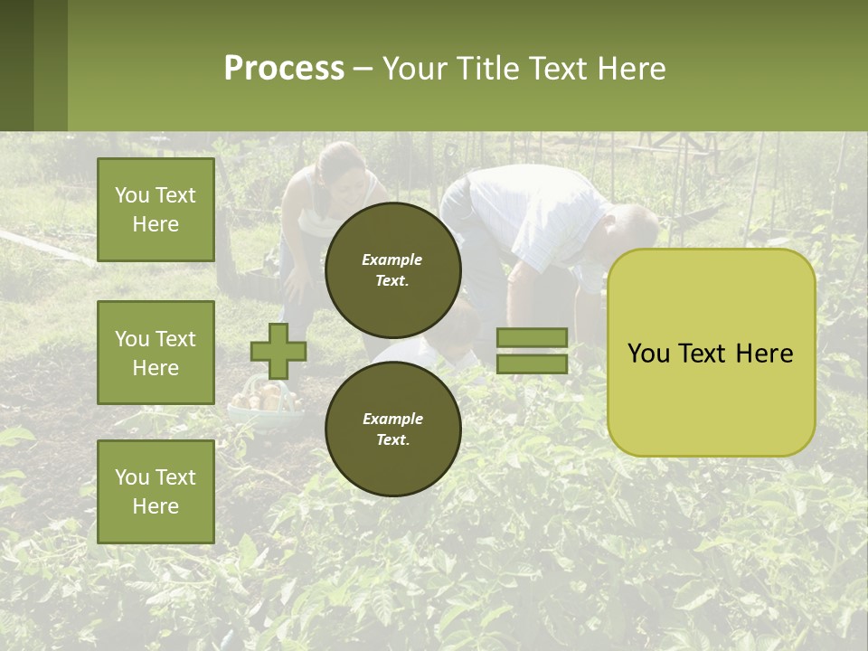 A Man And Woman Tending To A Child In A Garden PowerPoint Template