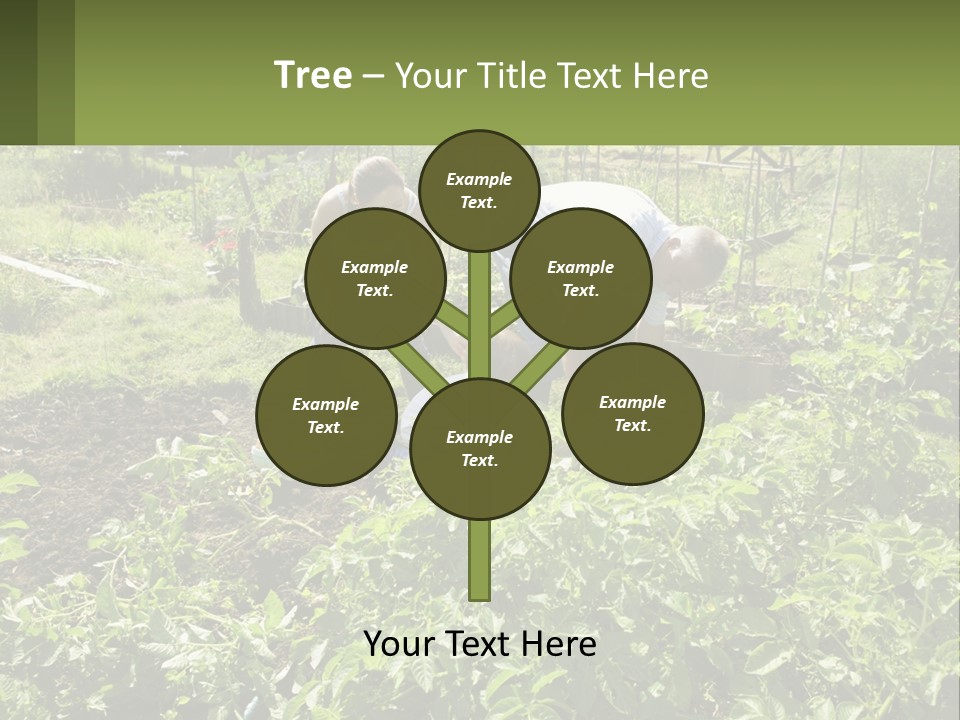 A Man And Woman Tending To A Child In A Garden PowerPoint Template