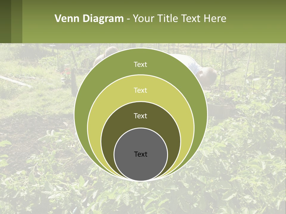A Man And Woman Tending To A Child In A Garden PowerPoint Template
