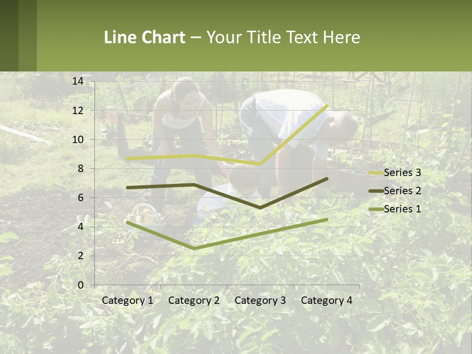A Man And Woman Tending To A Child In A Garden PowerPoint Template