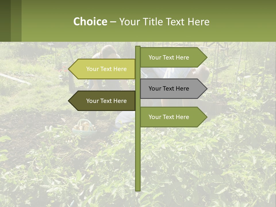 A Man And Woman Tending To A Child In A Garden PowerPoint Template