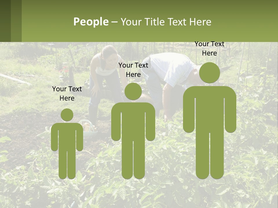 A Man And Woman Tending To A Child In A Garden PowerPoint Template