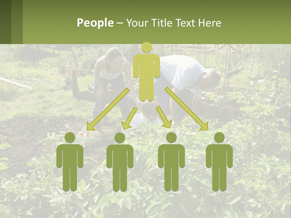 A Man And Woman Tending To A Child In A Garden PowerPoint Template