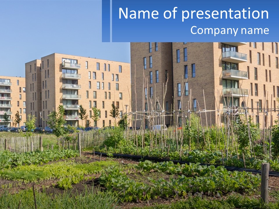 An Urban Garden In Front Of A Building PowerPoint Template
