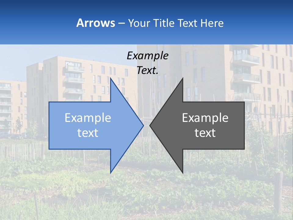 An Urban Garden In Front Of A Building PowerPoint Template