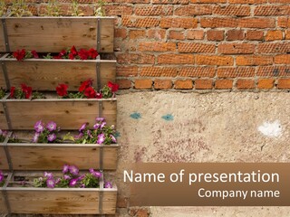 A Brick Wall With A Wooden Shelf Filled With Flowers PowerPoint Template
